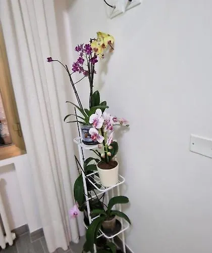 게스트하우스 Orchidea 볼로냐