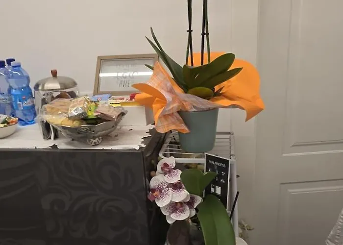 Orchidea Гостевой дом