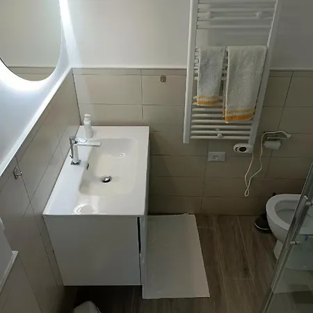 Orchidea Bologna