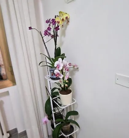 招待所 Orchidea 博洛尼亚