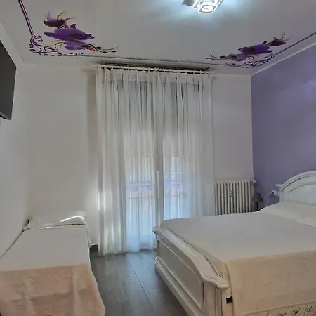 Orchidea 博洛尼亚